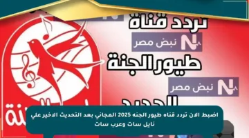 اضبط الآن تردد قناة طيور الجنة 2025 المجاني بعد التحديث الأخير على نايل سات وعرب سات